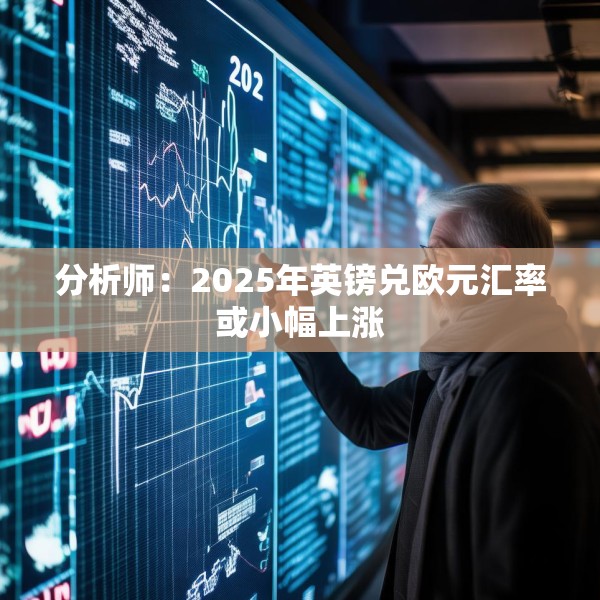 分析师：2025年英镑兑欧元汇率或小幅上涨