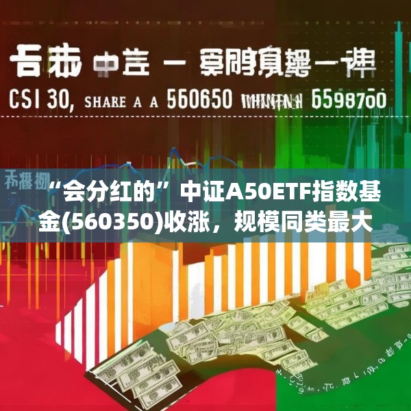 “会分红的”中证A50ETF指数基金(560350)收涨，规模同类最大的港股红利指数ETF(513630)单日“吸金”2.12亿