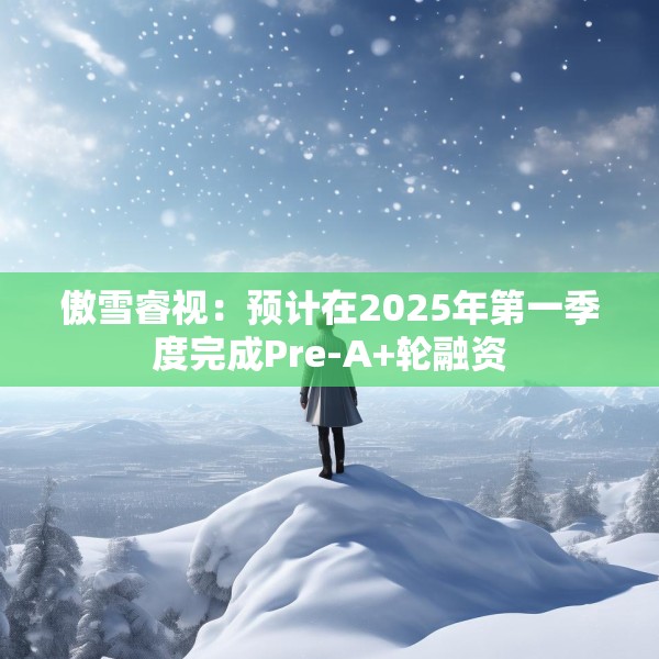 傲雪睿视：预计在2025年第一季度完成Pre-A+轮融资