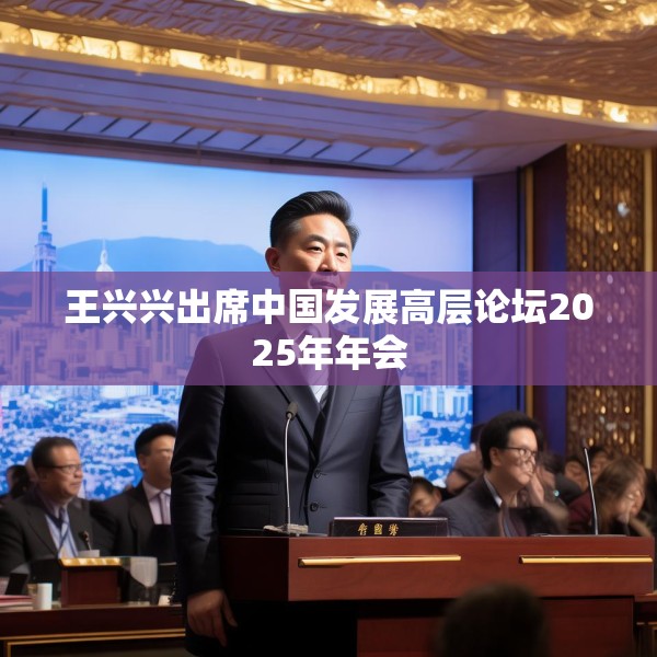 王兴兴出席中国发展高层论坛2025年年会